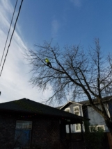 Resized_20180118_091629_9169