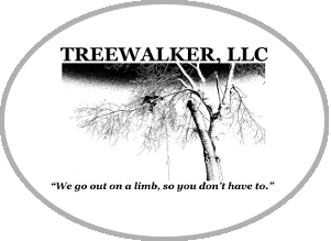 Treewalker LLC